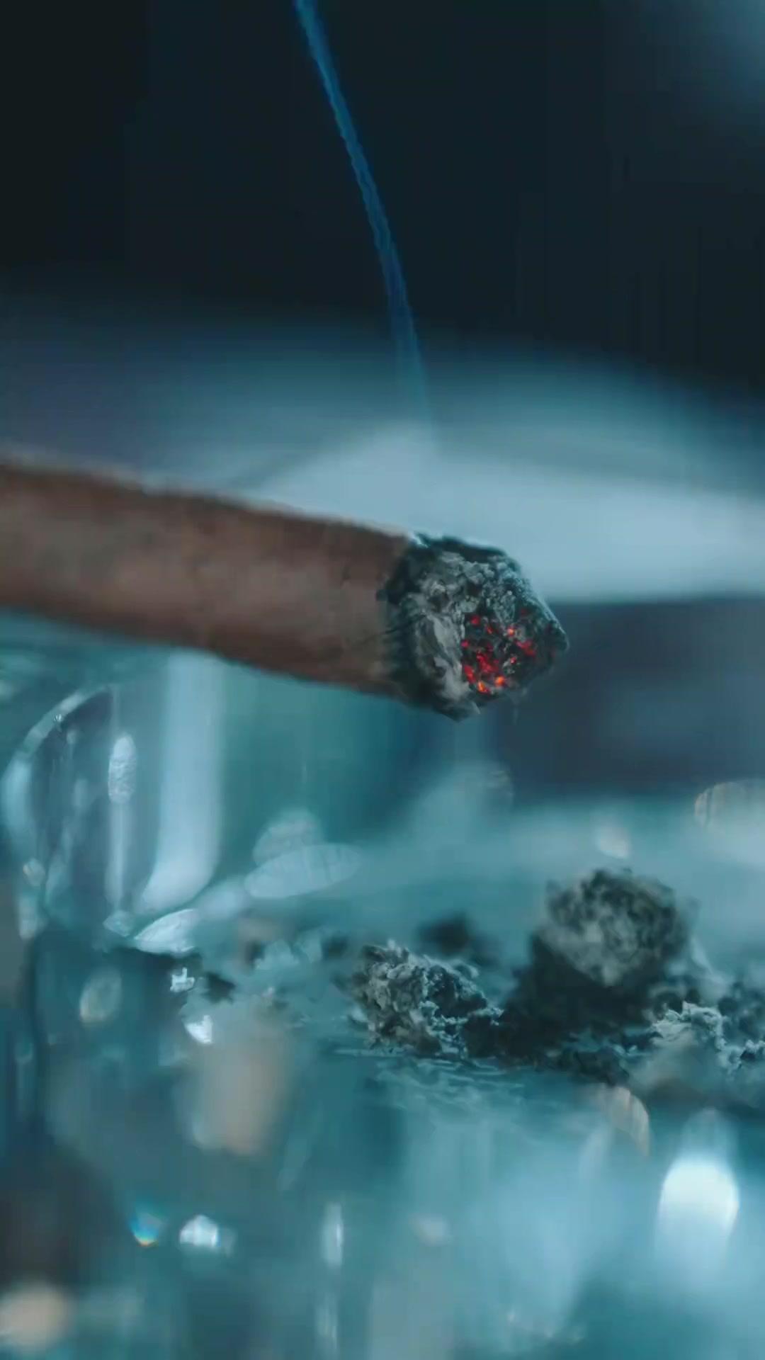 Blood Ties, Bullet Lies