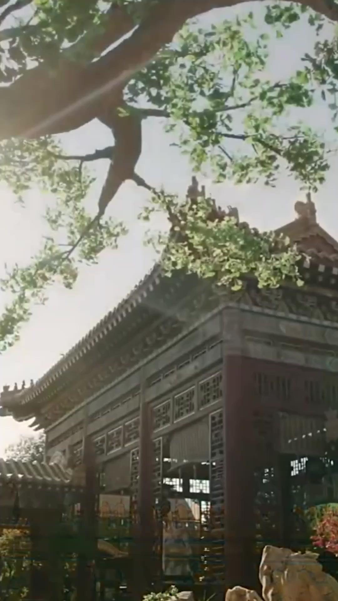 裴大人是個黏人精