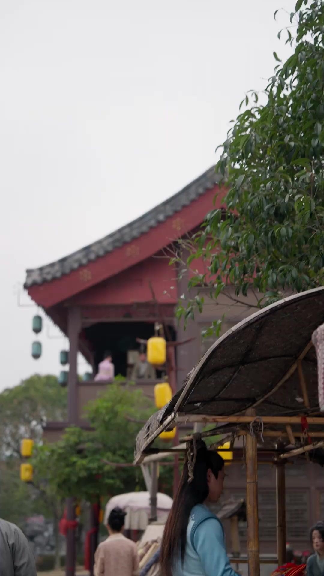 Vengeance of the Face-Swapped Heiress