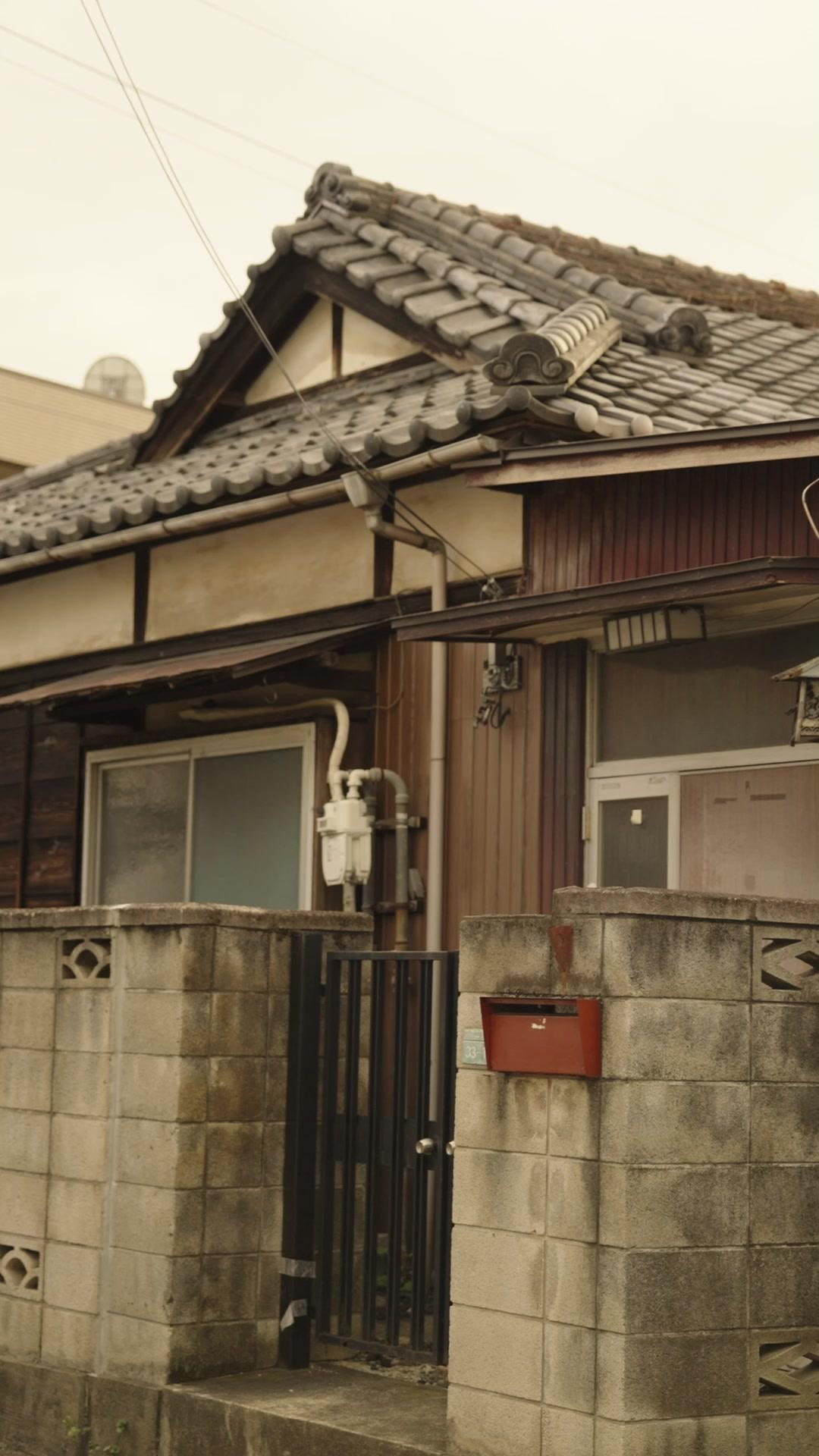 Sakura Beneath the Shrine