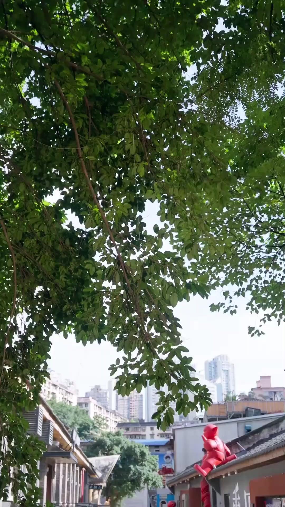 عشق بلا منتهى