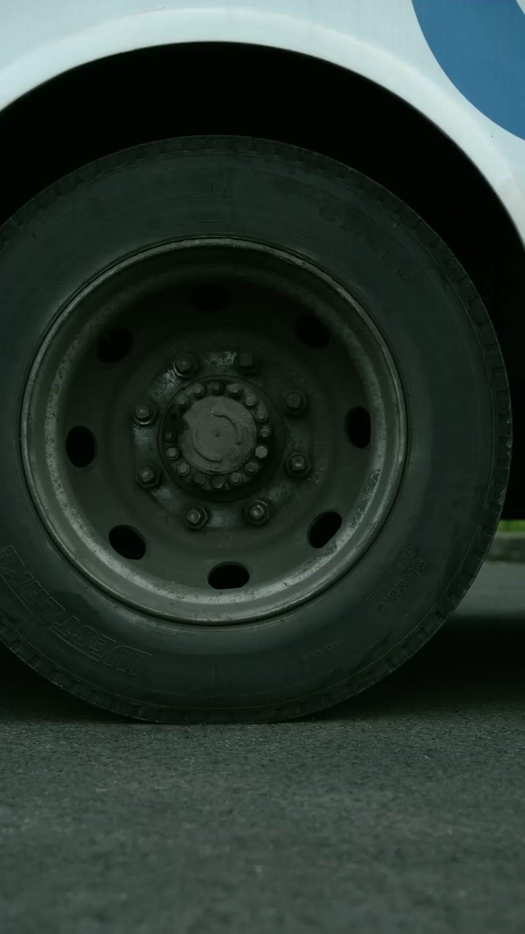 Retornar à Terra Natal