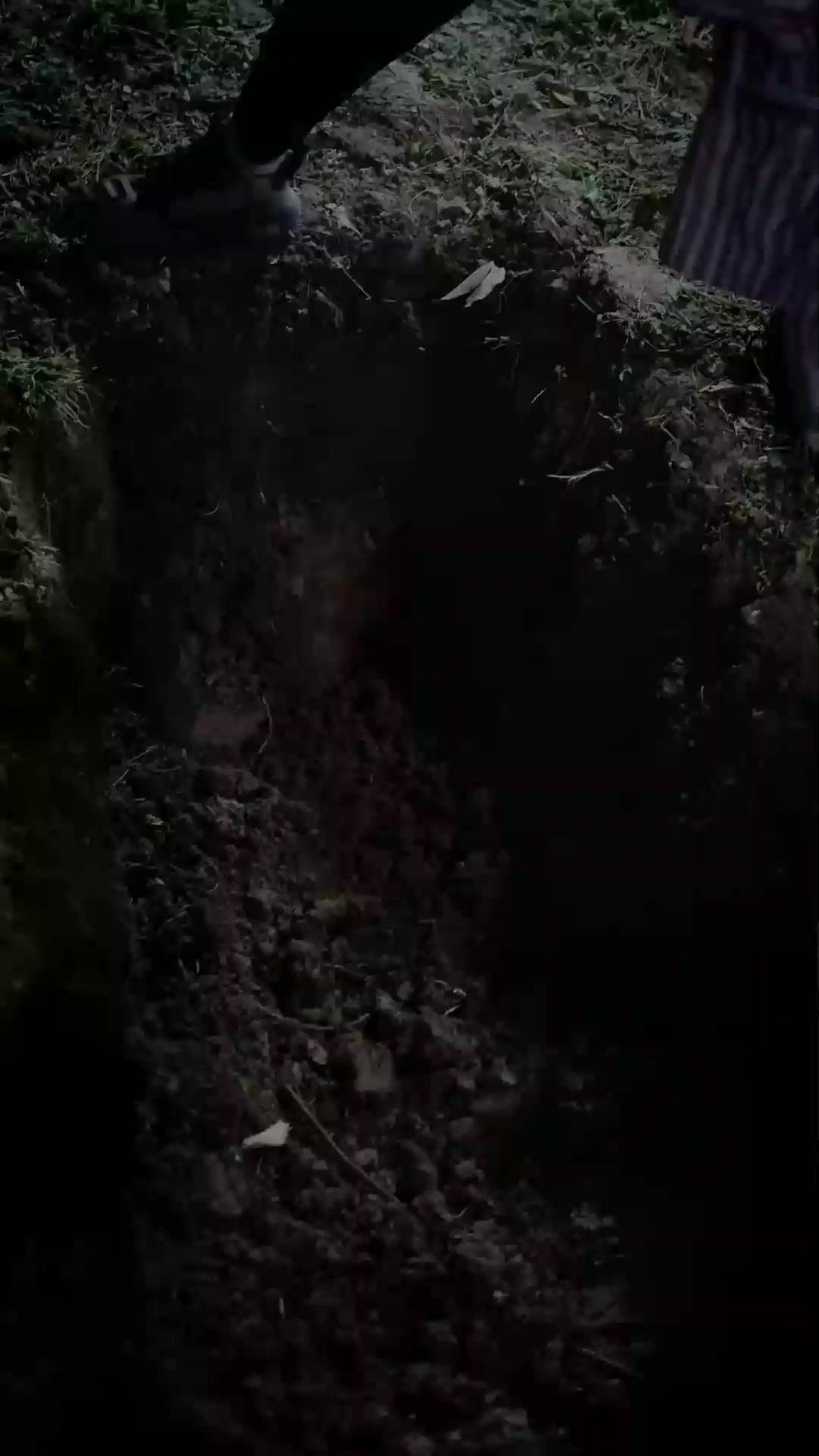 Pengantin Bank Darah