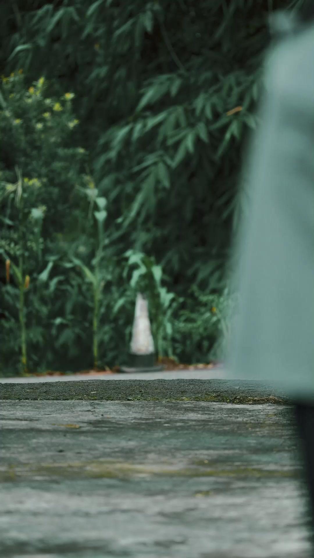 Gadis pembawa keberuntungan