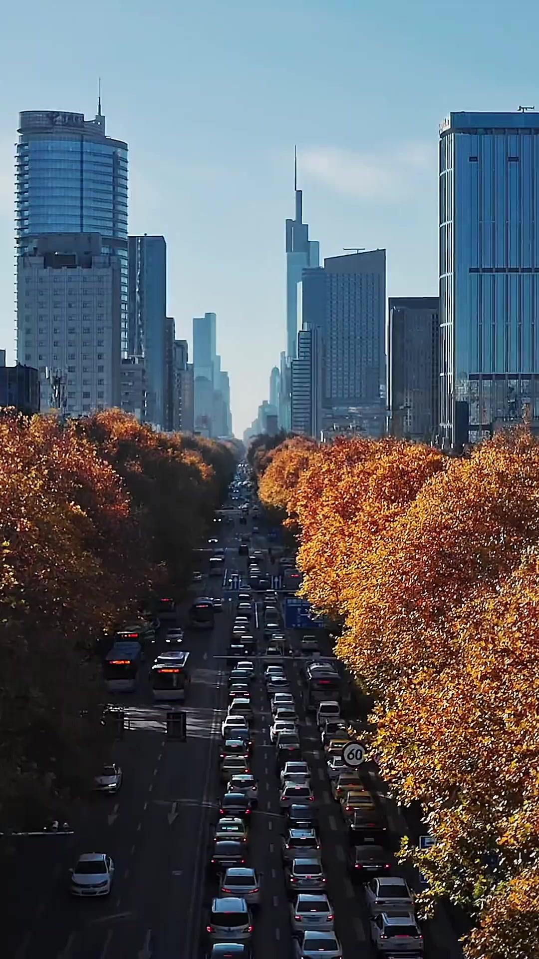 拾われた乞食は冥王だった