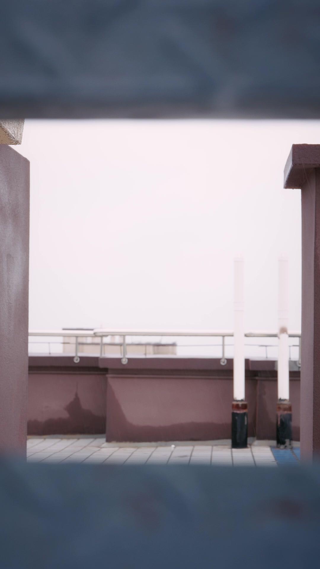 Dunia Hewan Membuka Rahasia