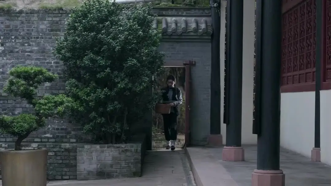 Pearl in the Storm: When Bamboo Stems Crack Under Pressure