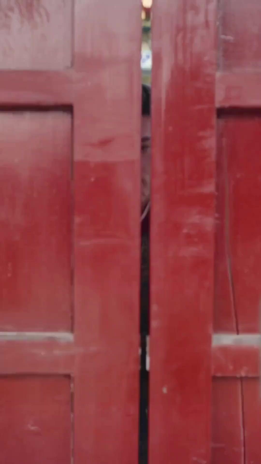 (พากย์เสียง)ฟื้นคืนเพื่อล้างแค้น