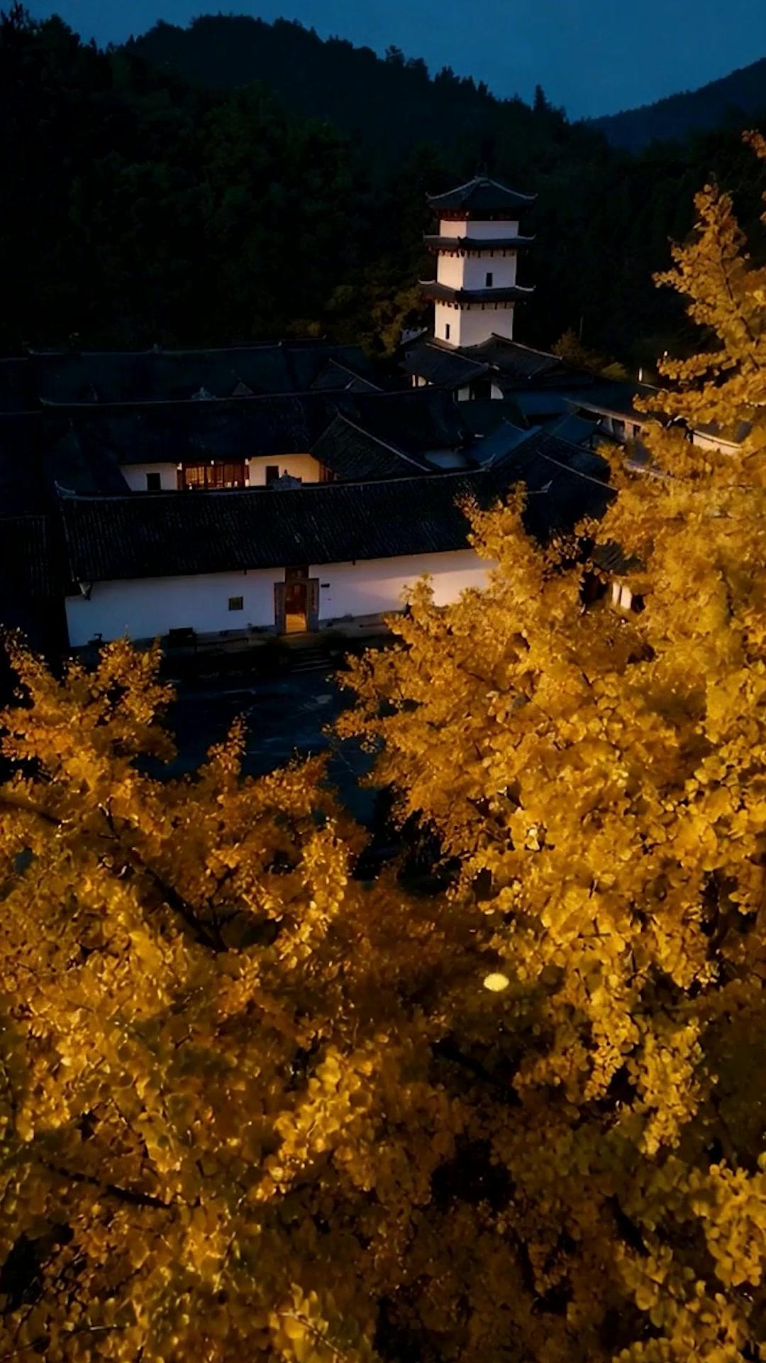 Pendekar Tanpa Inti Energi