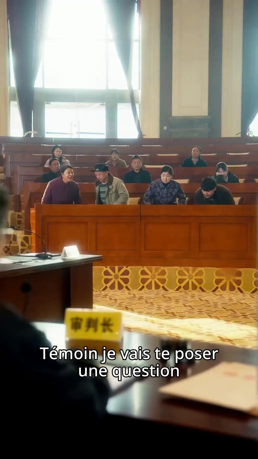 (Doublage) LA RÉDEMPTION DU GUÉRISSEUR