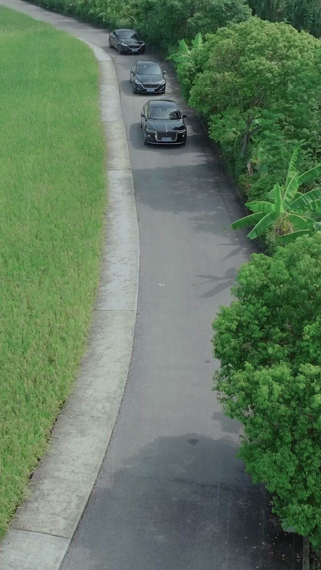 ¡Robé su vida, la enterré!