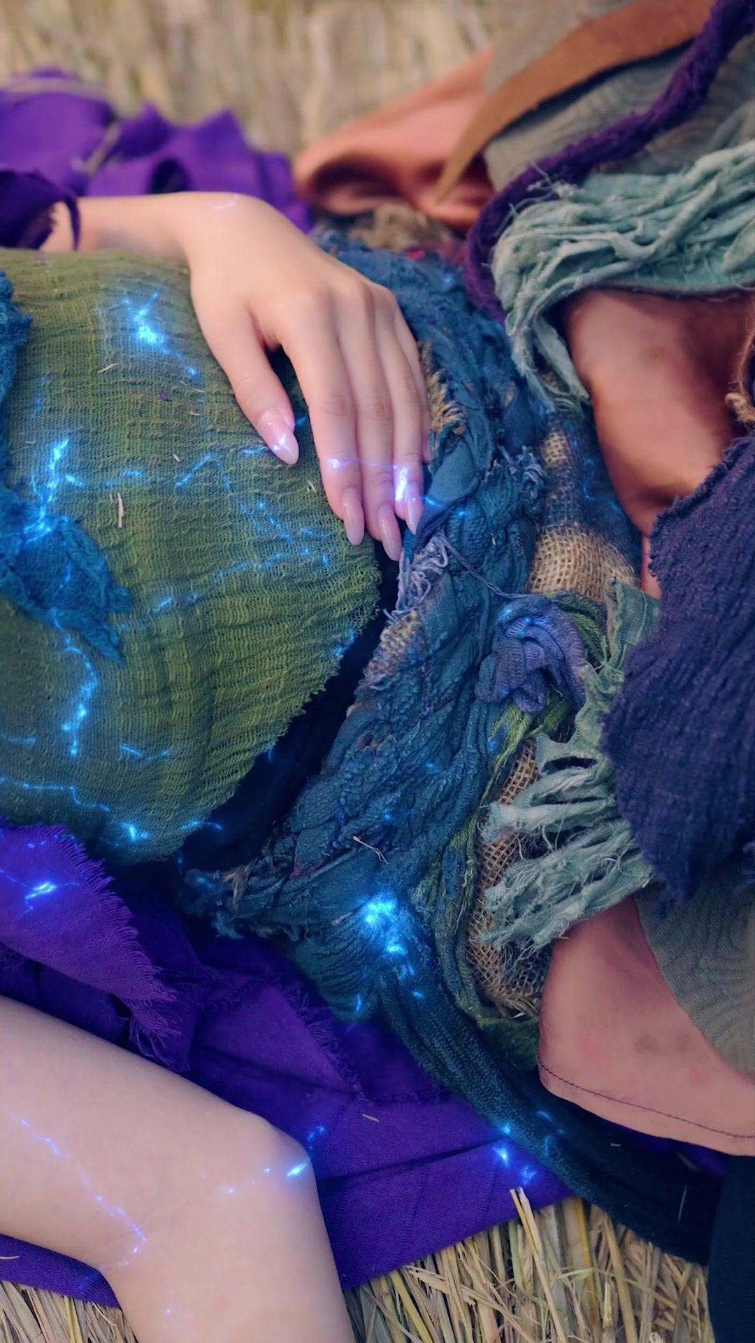 納妾系統，但我是好丈夫