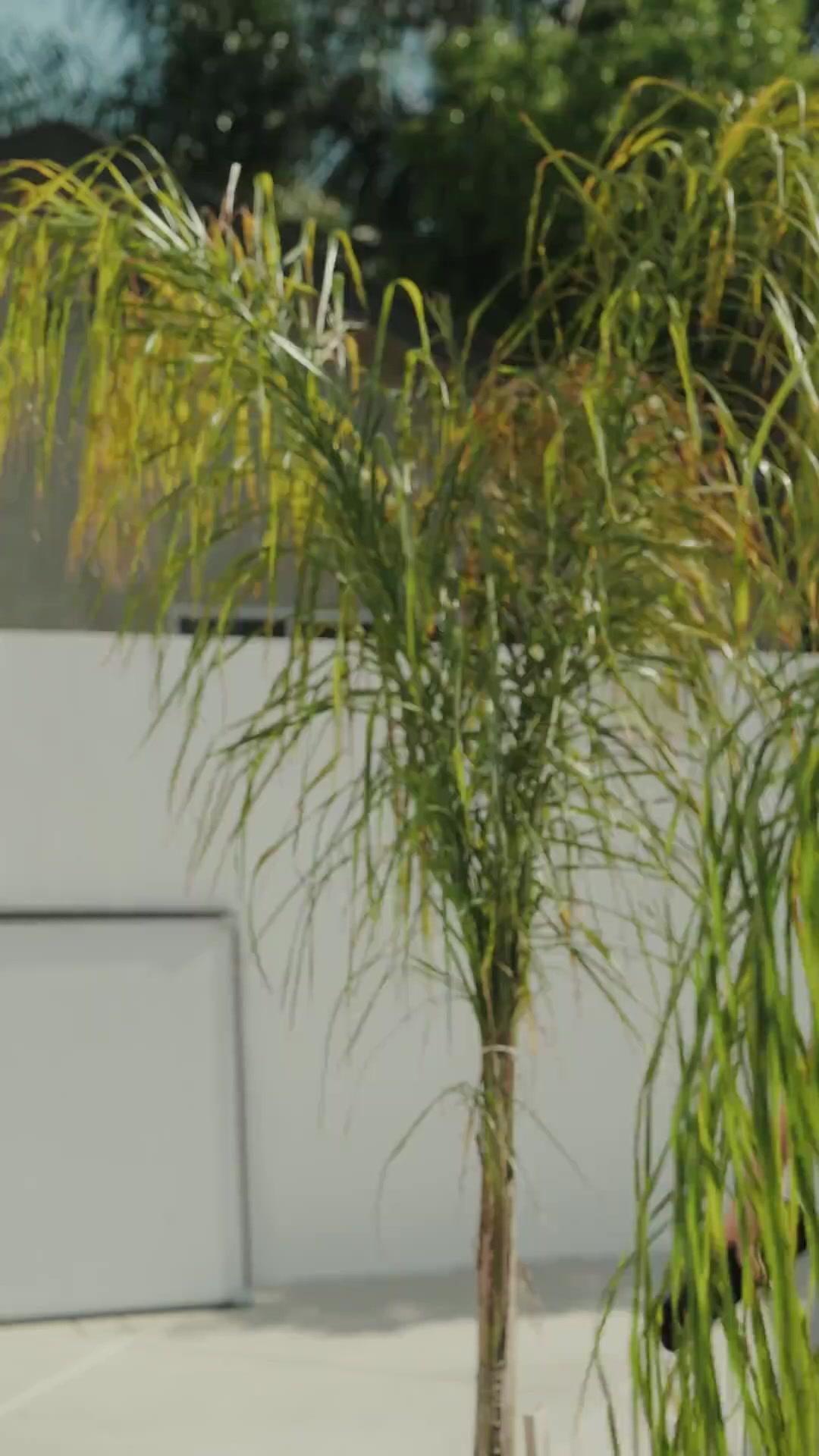 (Synchro)MafiaChfin: Tschüss, Arschloch-Ex!