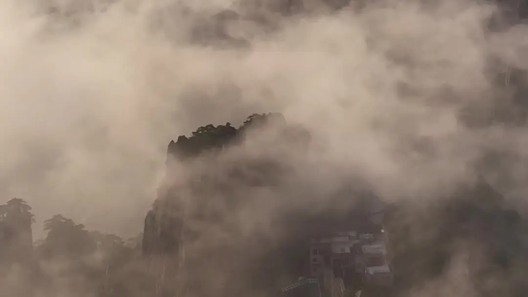 Return of the Lion King: Legacy Reignited — When the Wheelchair Moves Without Wheels