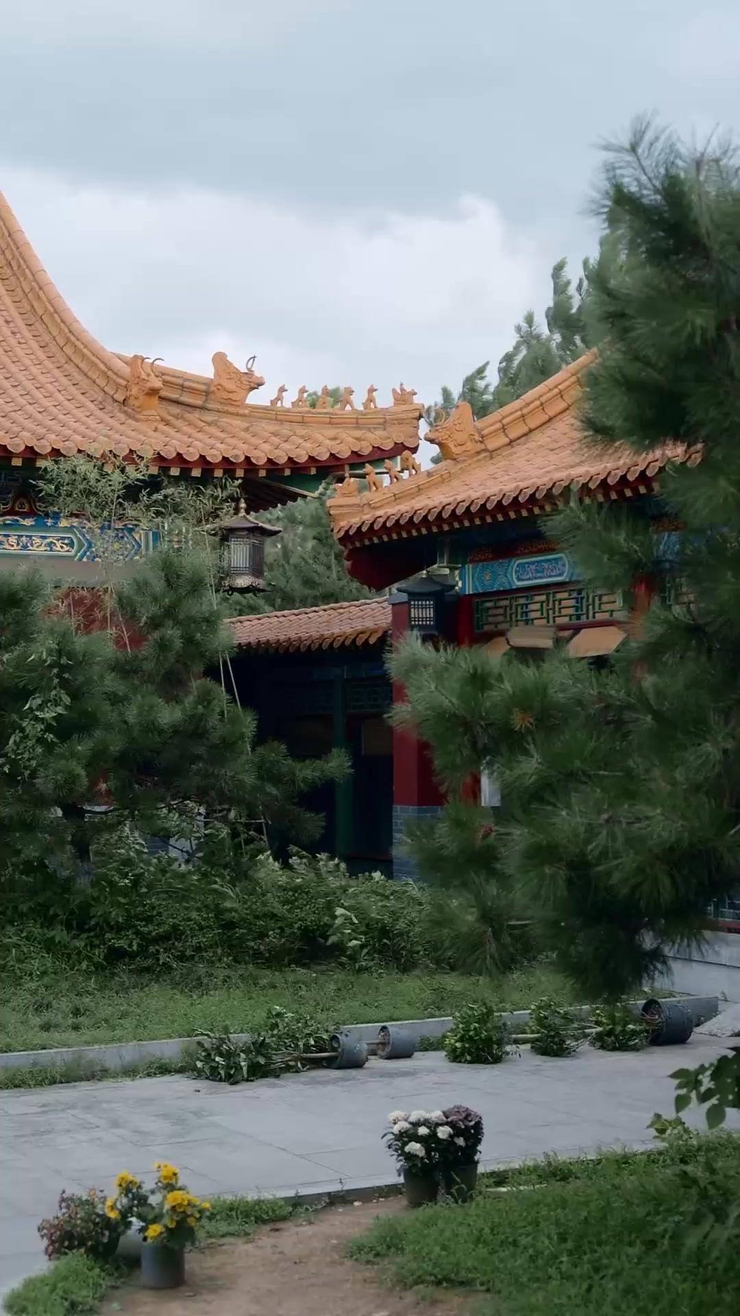 El velo de la corona