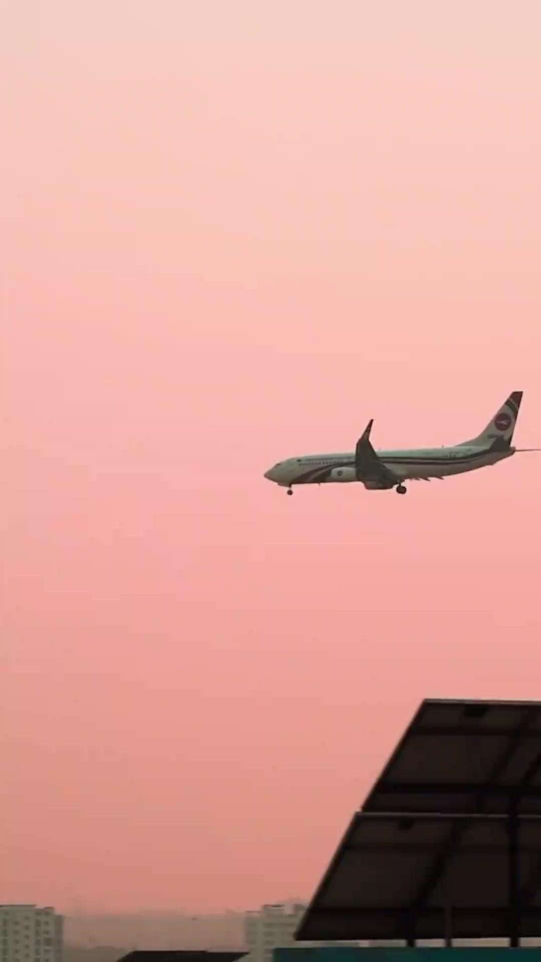 Ani Evlilikten Kaçamaz