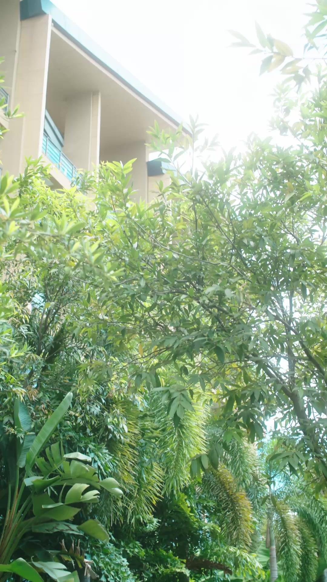 Amor a primera vista