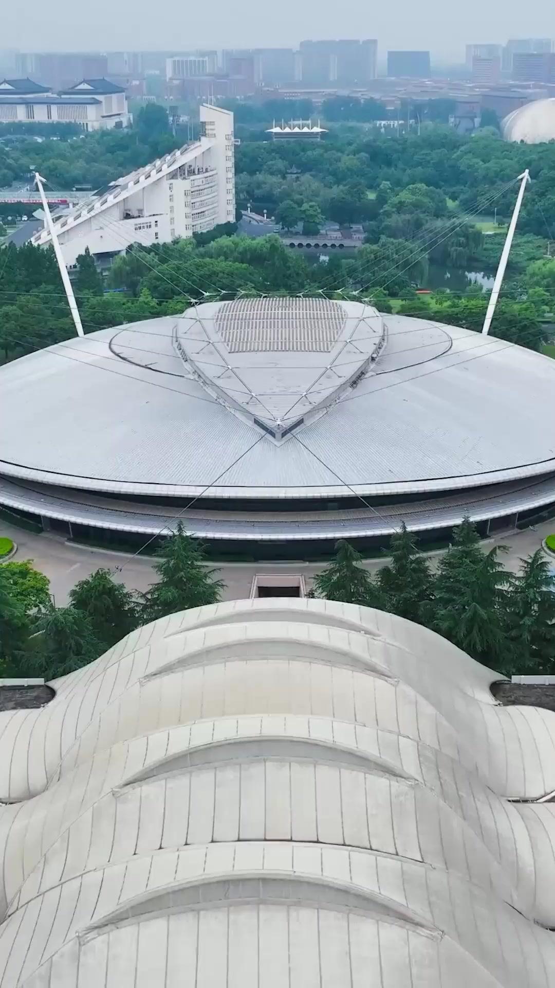 La Scomparsa del Re del Basket