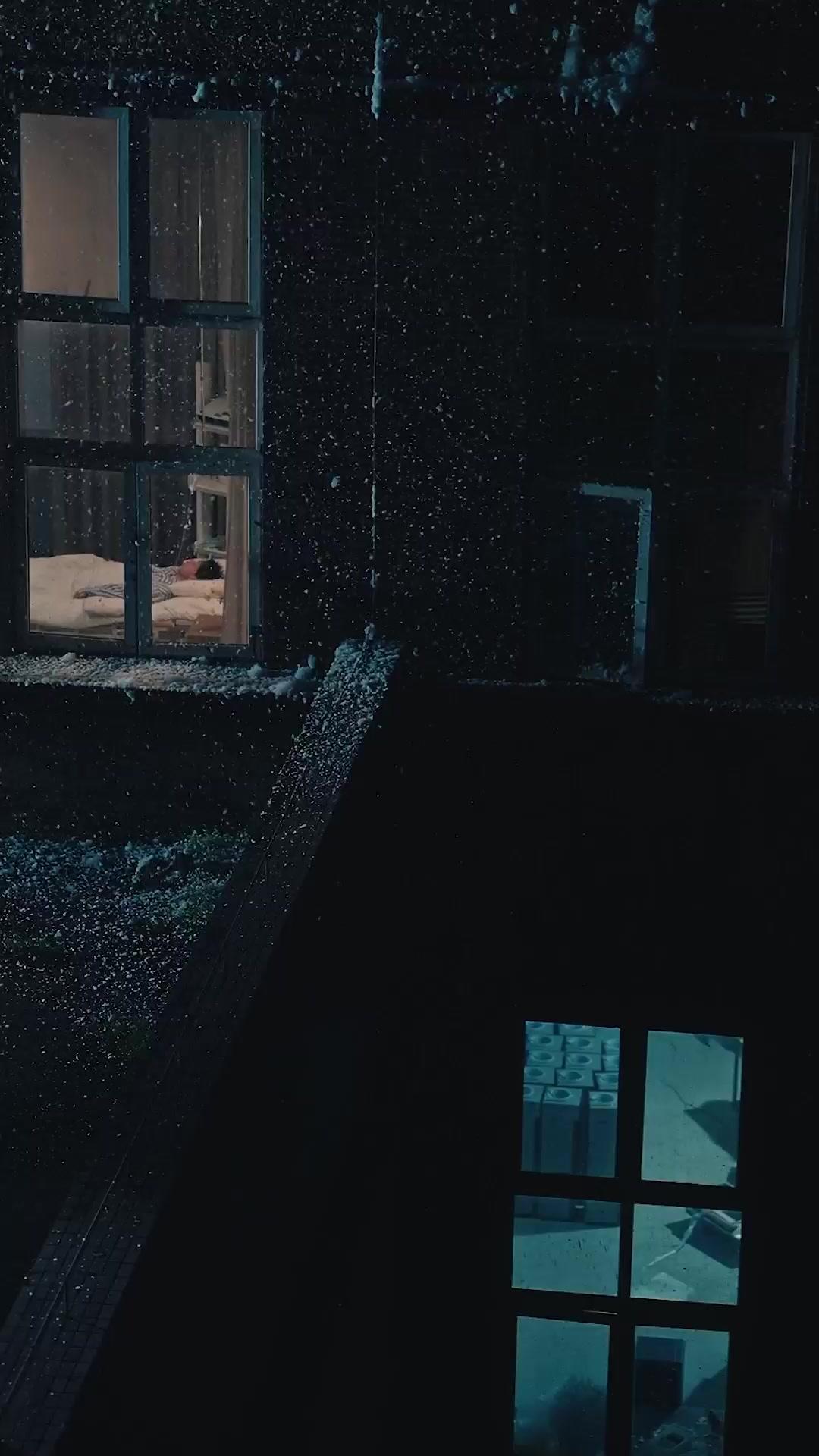 تفتح الزهور في الصقيع