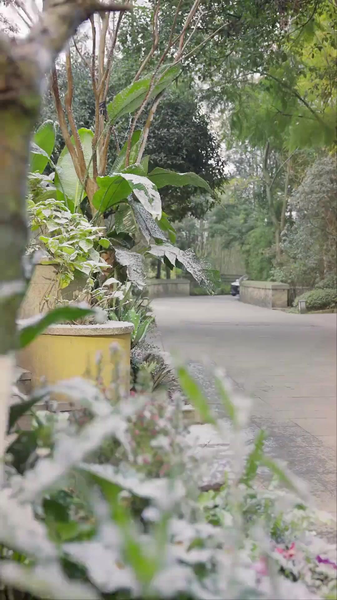 Quyết Không Tha Thứ