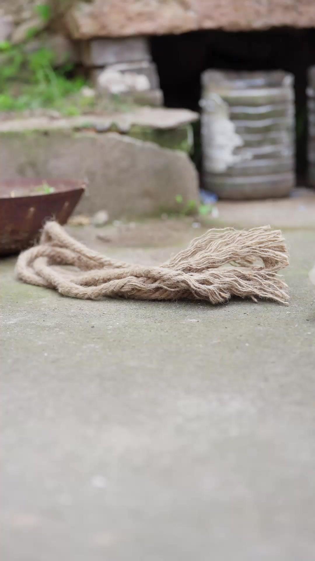 運命の再会～愛の始まり？！