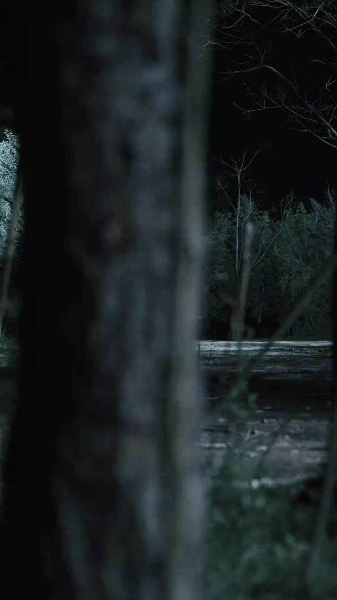 (吹き替え) 逃げ花とならず者