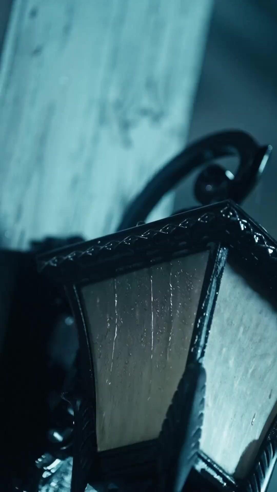 A Favorita do Coração