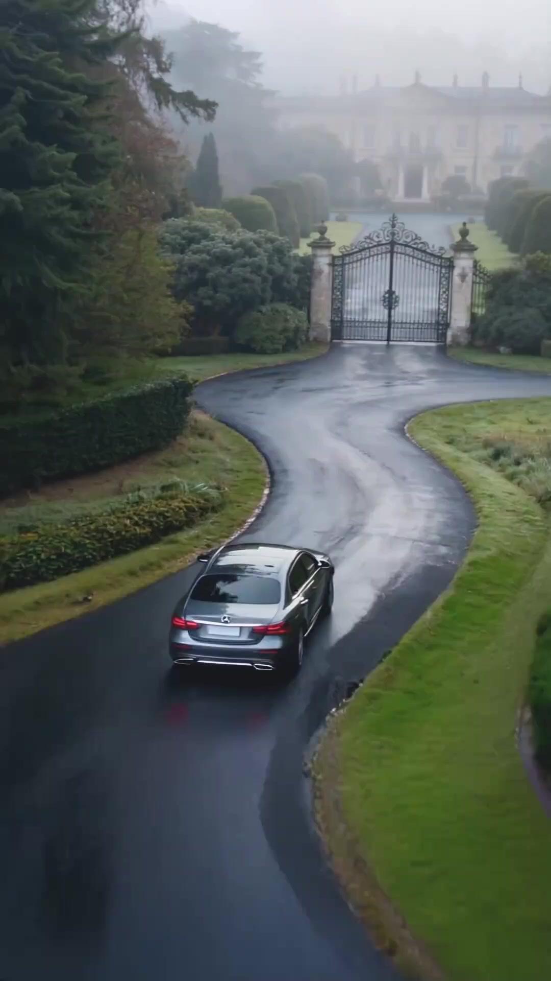 قطتك أصبحت صديقتك