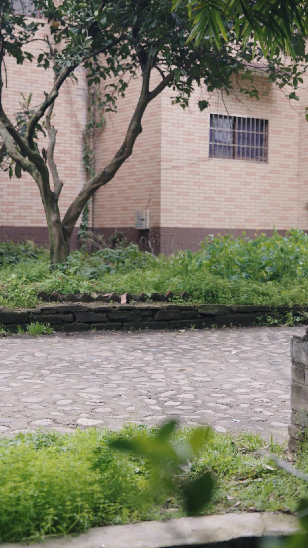 Lima Berkah Dari Langit