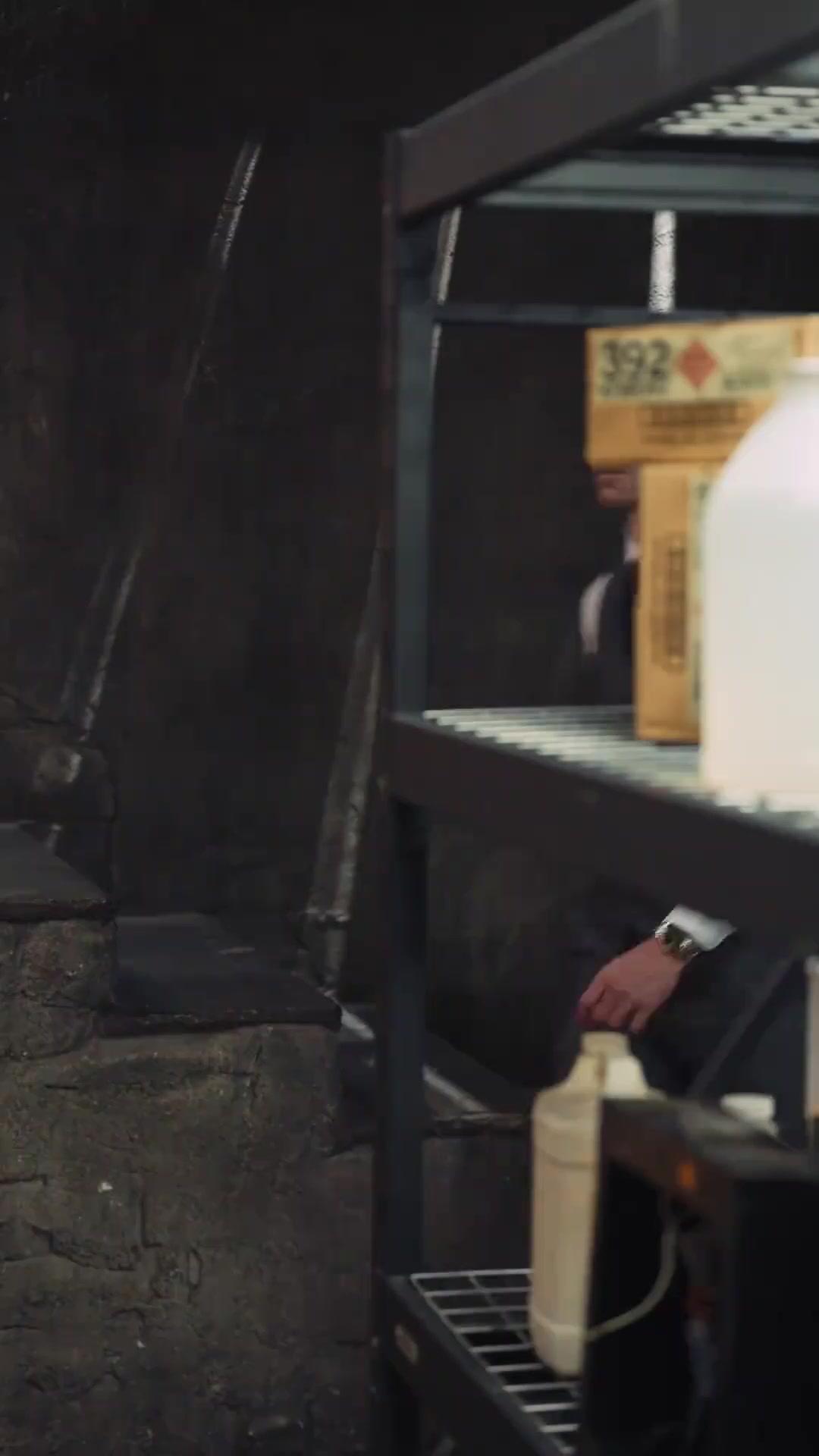 Die Phönix-Erbin aus der Asche