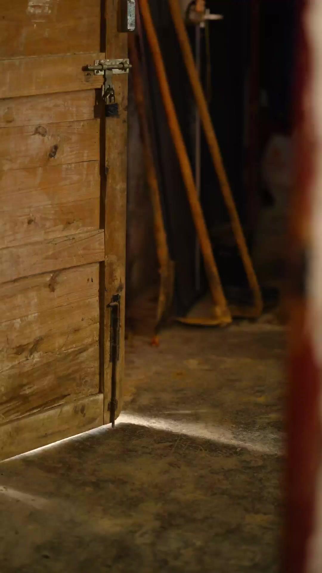 Longa Viagem para Encontrar Familiares