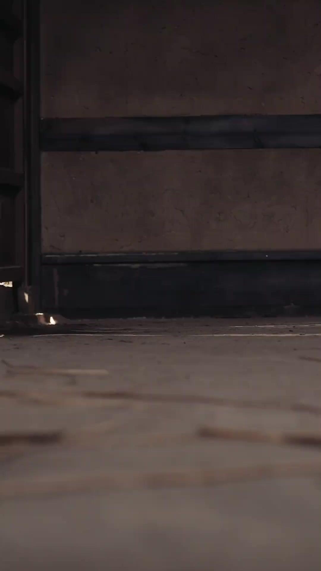 (Dublajlı)Asker Yerine İmparatoriçe