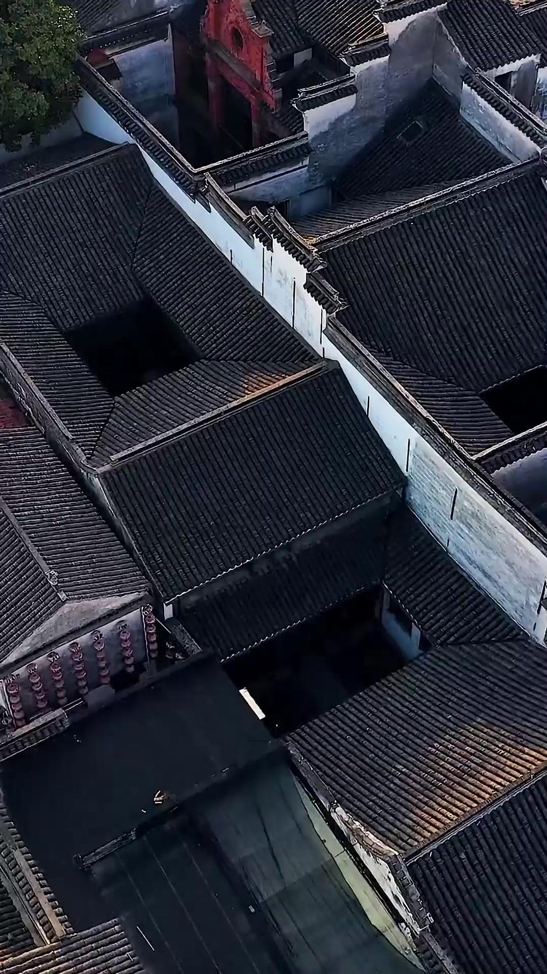 雪落情深，春歸帥府