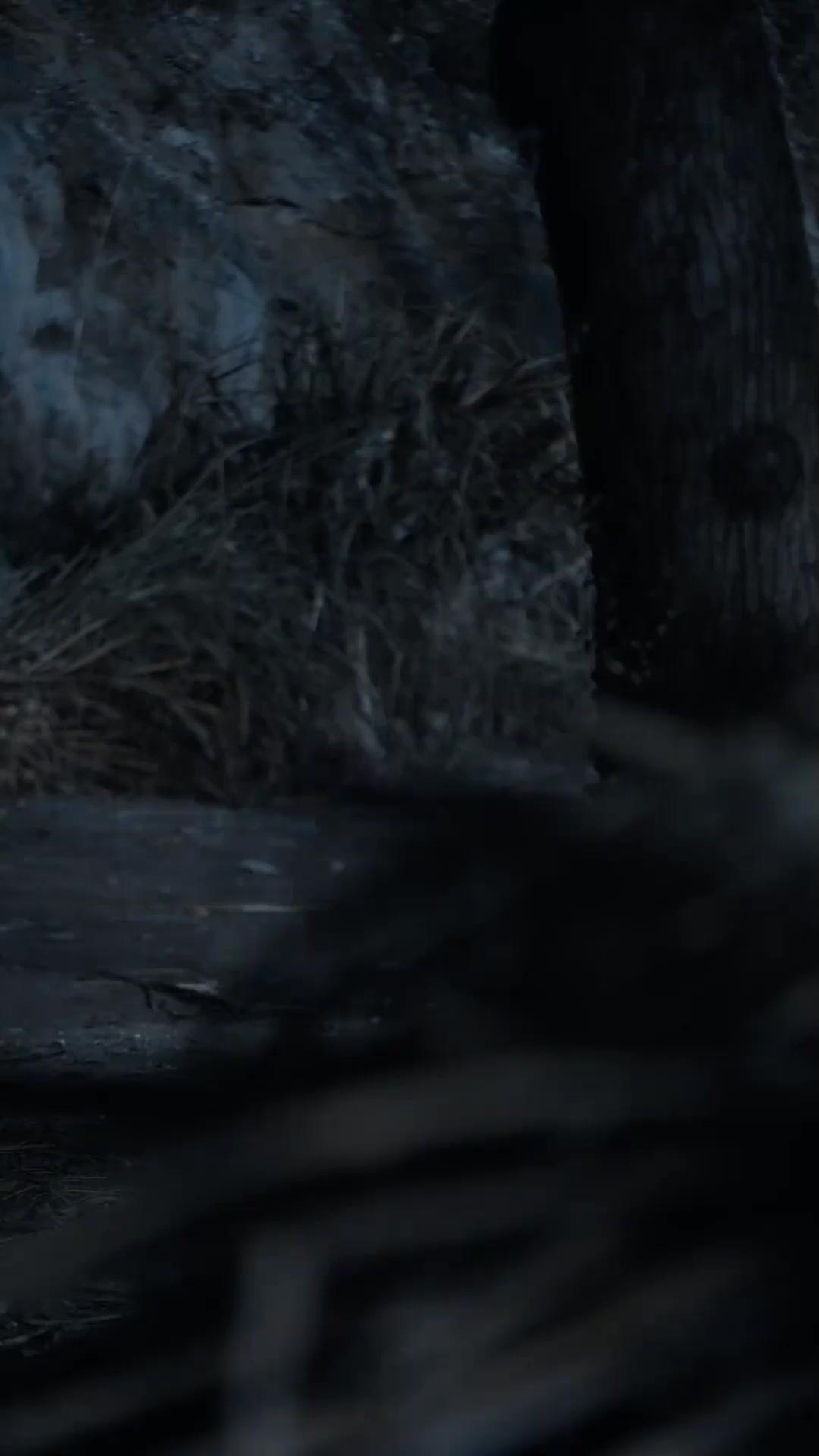 Beyond the Burning Blade 