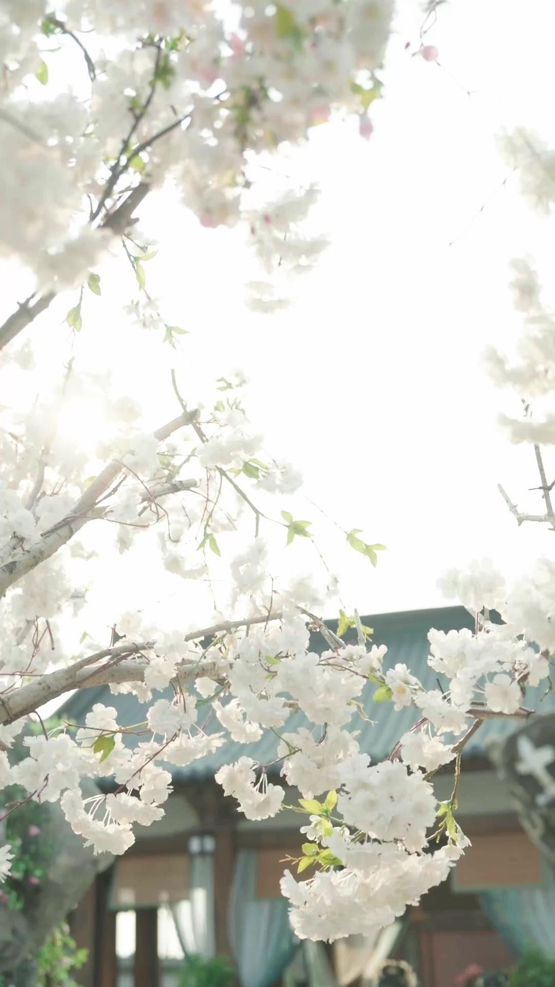 My Clingy Husband by Contract