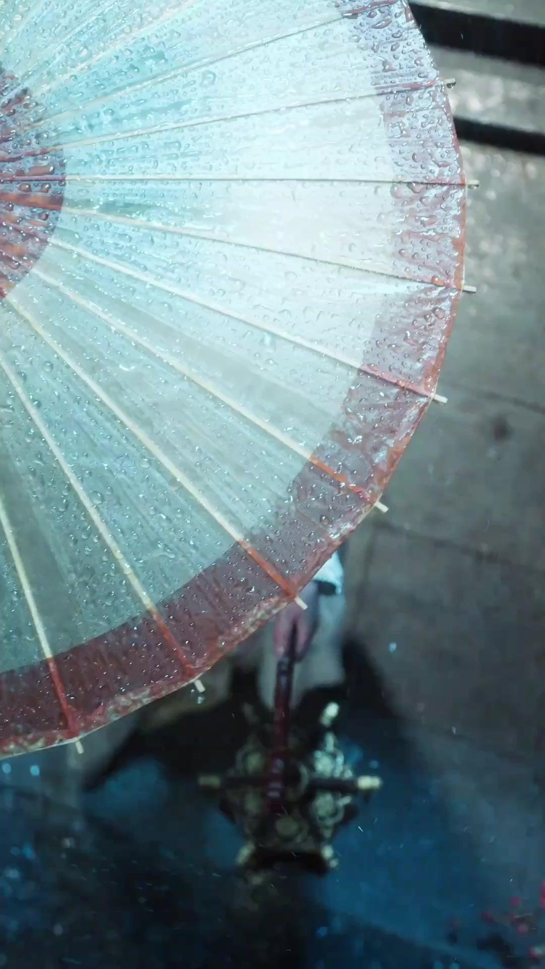 正妻の私 裏切りの夫を捨てます