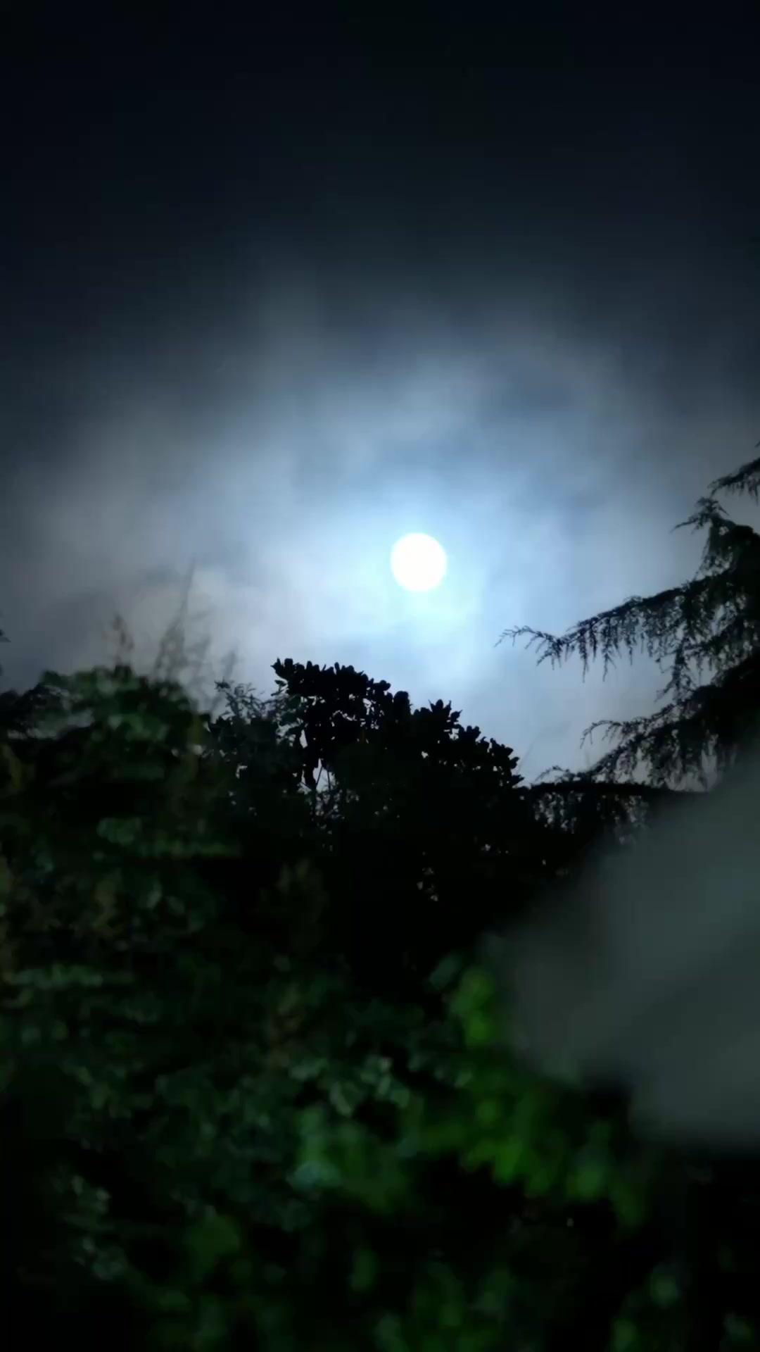 Seven Years Promised, Now I Leave!