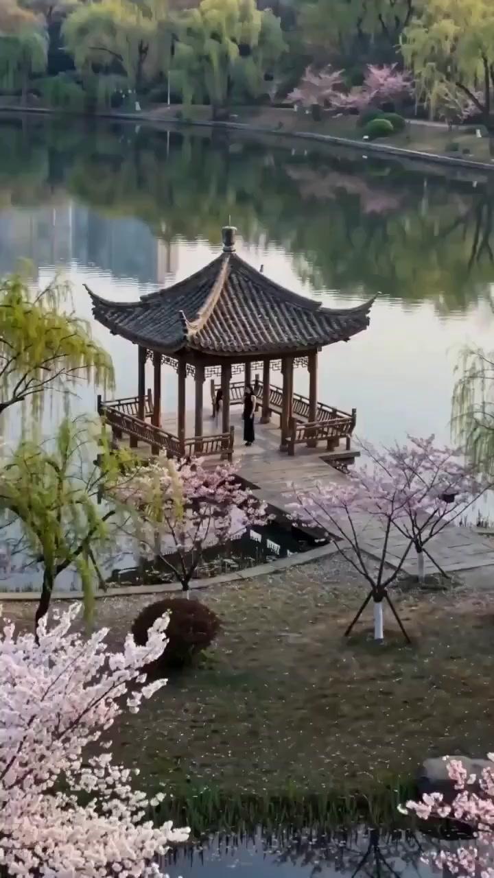 (Dubbed) I Loved the Wrong Brother