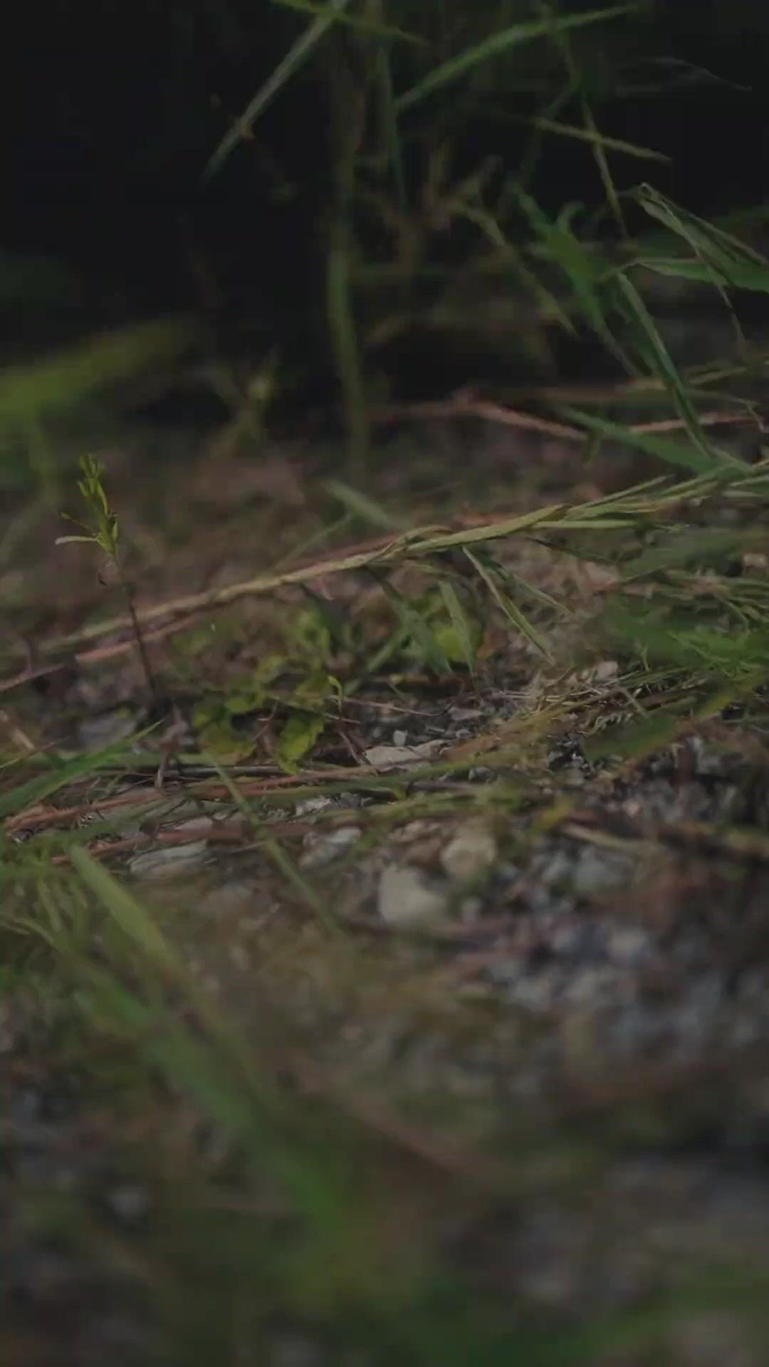 LA FONDATRICE REVIENT