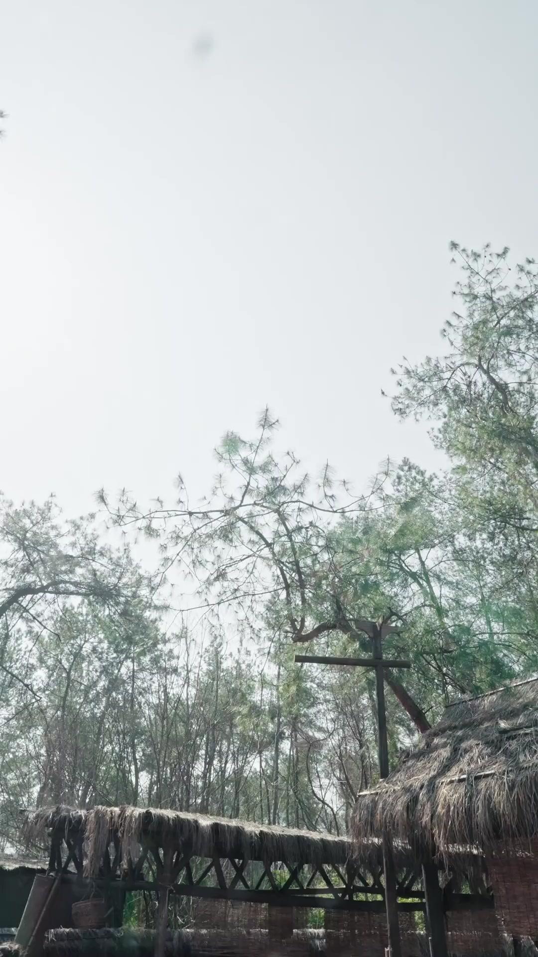  Ascensão dos Invisíveis