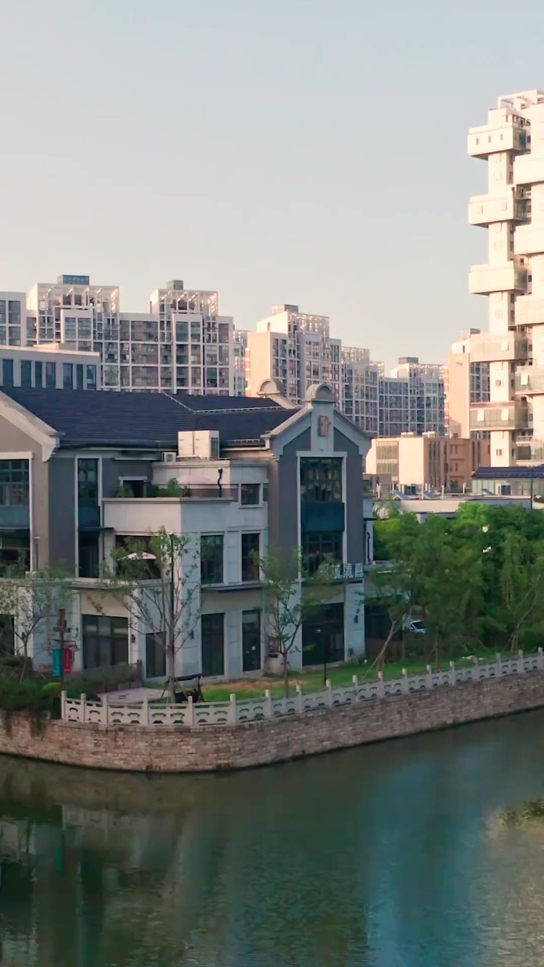 (Synchro) Die Rache des CEO-Hausmanns