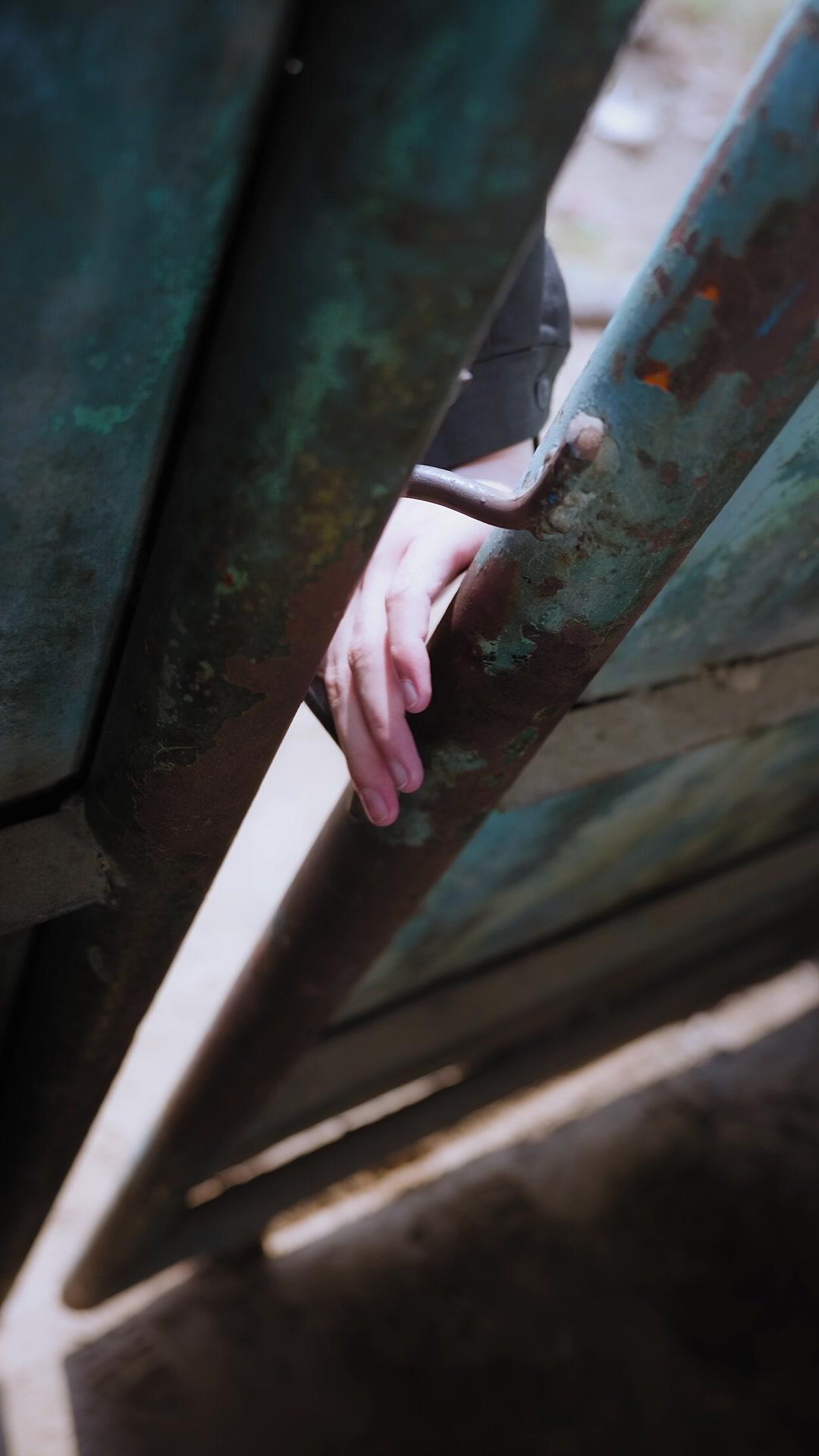 Dragon im Schatten: Sein letzter Auftrag