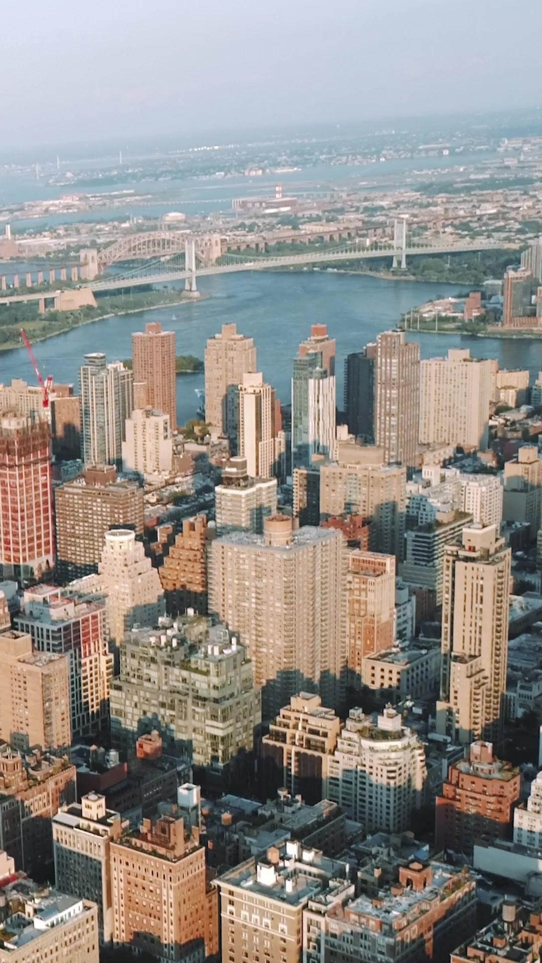 MafiaChfin: Tschüss, Arschloch-Ex!