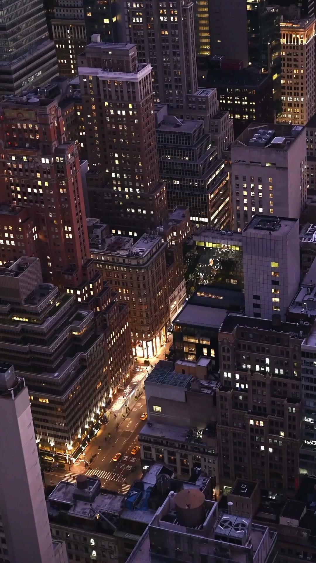 His Chain, Her Shield