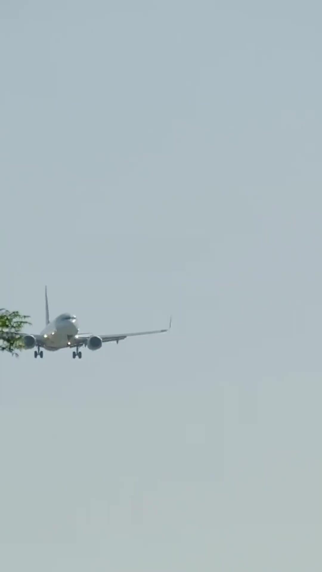 私の光は離婚から