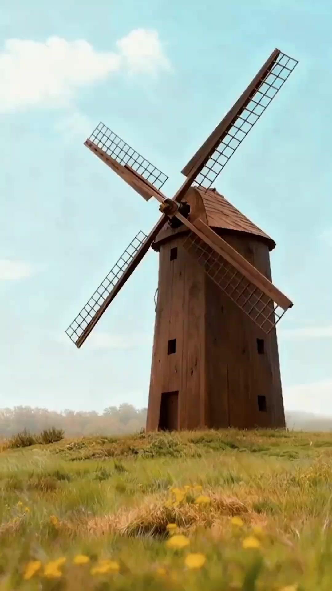 Wiedergefundenes Glück