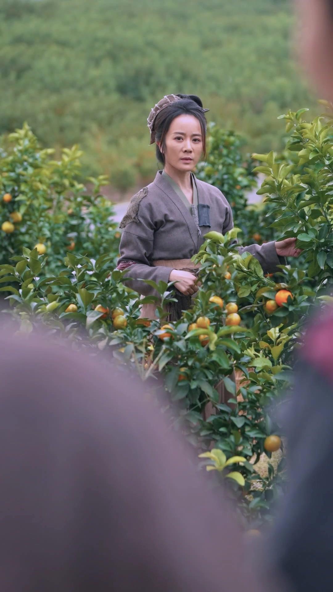 เศรษฐีนีทะลุมิติมาขายน้ำมะนาว