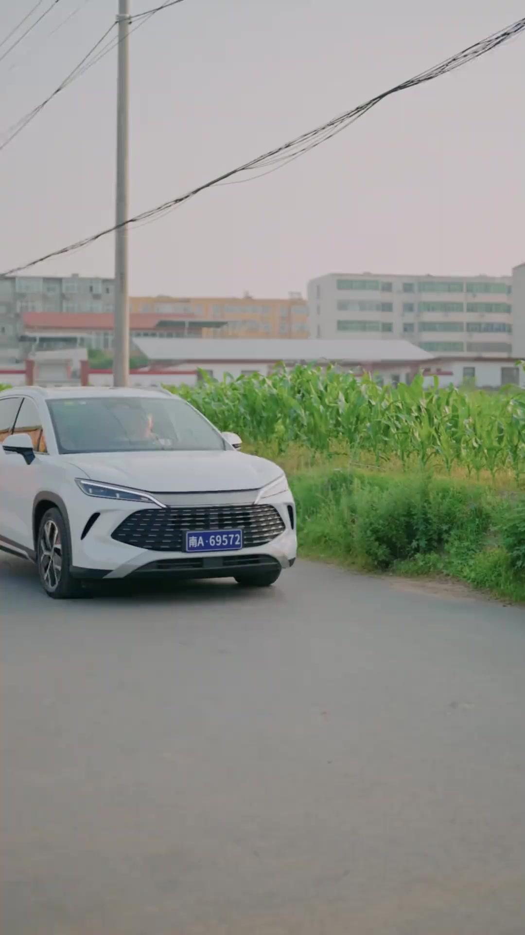 記憶を奪った悪女から愛を取り戻せ！