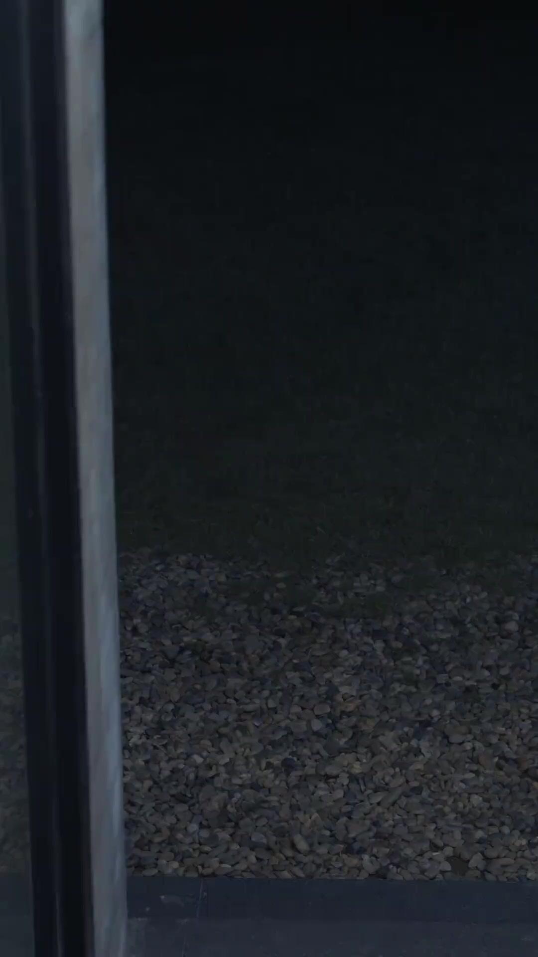 (더빙) 회장님, 저는 신입이에요