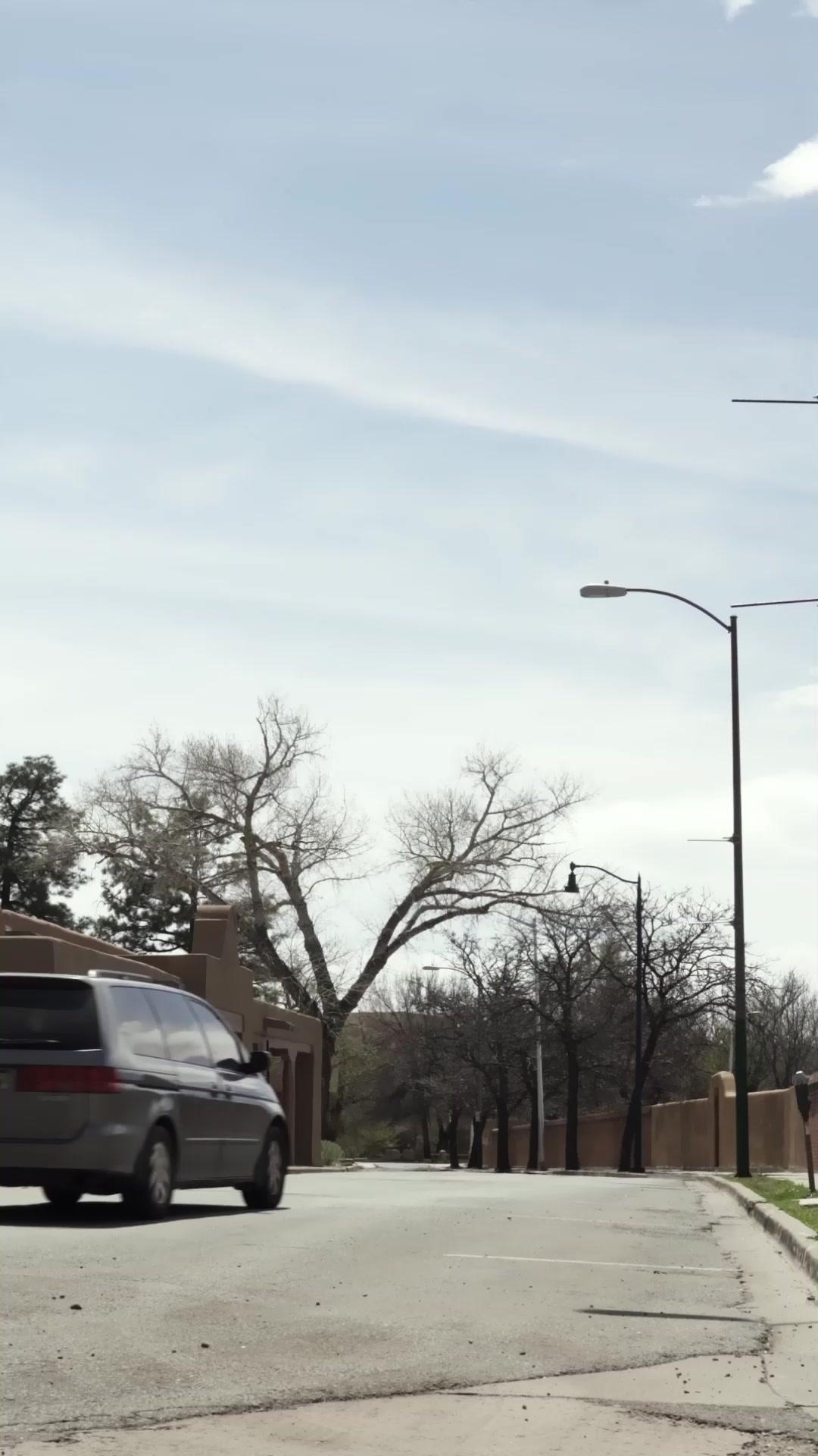 (Doppiaggio) Addio, Amore Mio